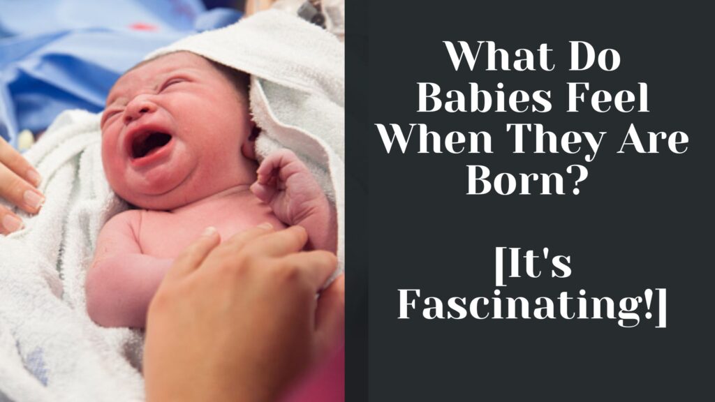 What Do Babies Feel When They Are Born