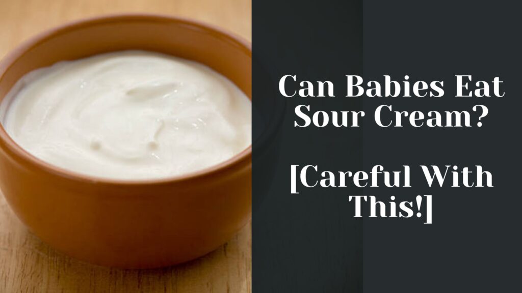 Can Babies Eat Sour Cream